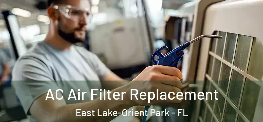  AC Air Filter Replacement East Lake-Orient Park - FL