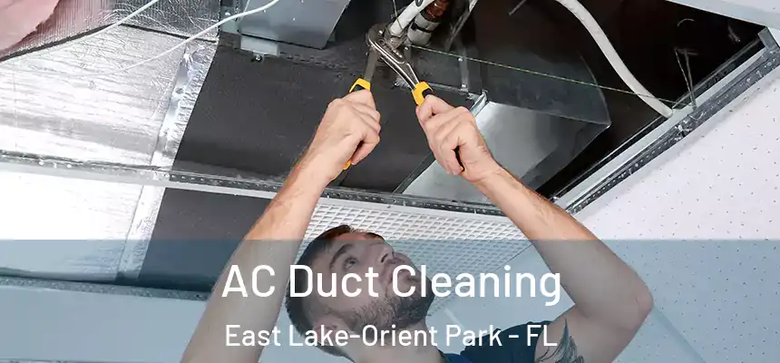 AC Duct Cleaning East Lake-Orient Park - FL