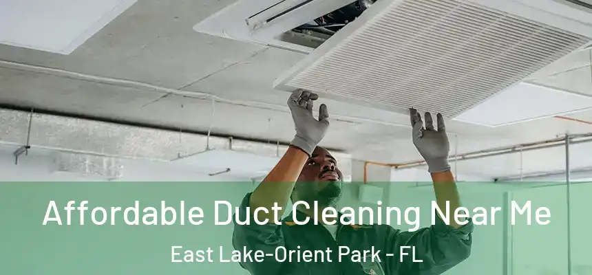 Affordable Duct Cleaning Near Me East Lake-Orient Park - FL
