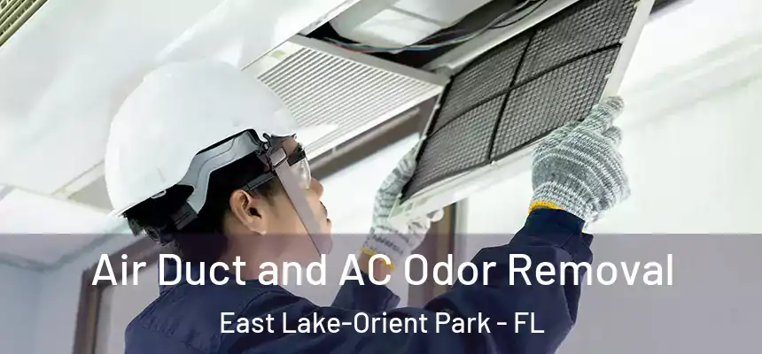 Air Duct and AC Odor Removal East Lake-Orient Park - FL