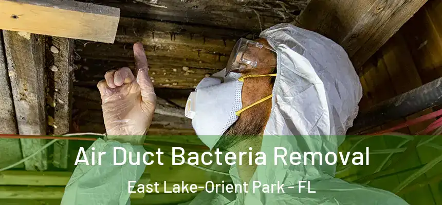 Air Duct Bacteria Removal East Lake-Orient Park - FL