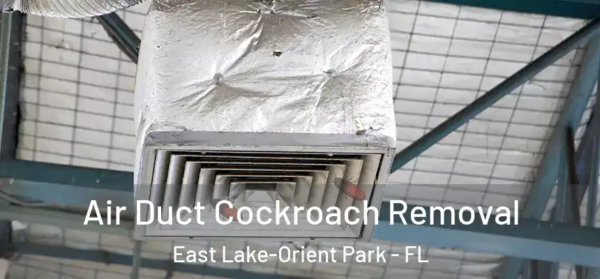 Air Duct Cockroach Removal East Lake-Orient Park - FL