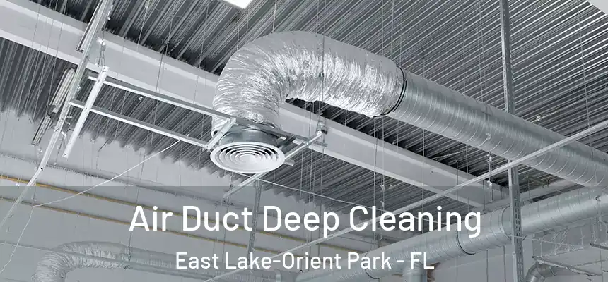 Air Duct Deep Cleaning East Lake-Orient Park - FL