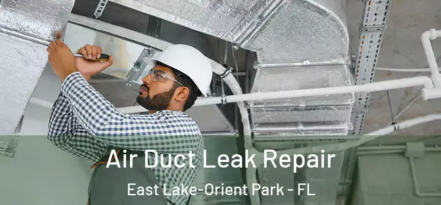 Air Duct Leak Repair East Lake-Orient Park - FL