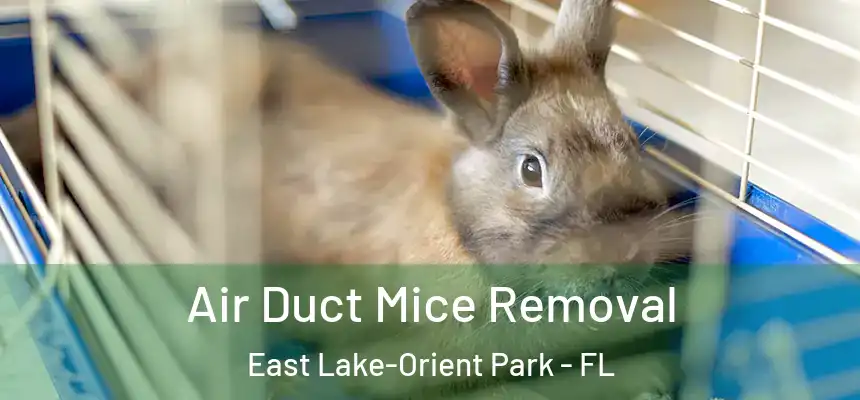 Air Duct Mice Removal East Lake-Orient Park - FL