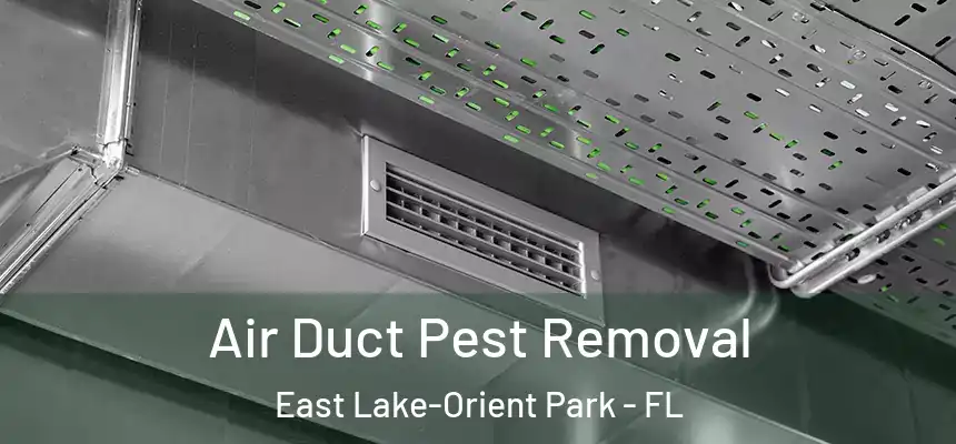 Air Duct Pest Removal East Lake-Orient Park - FL