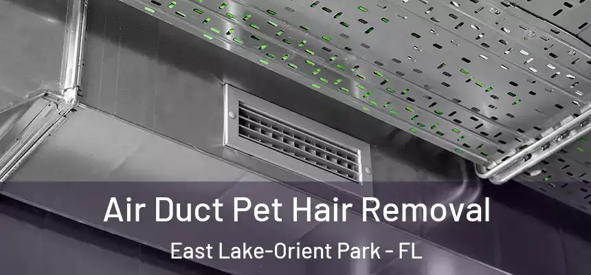 Air Duct Pet Hair Removal East Lake-Orient Park - FL