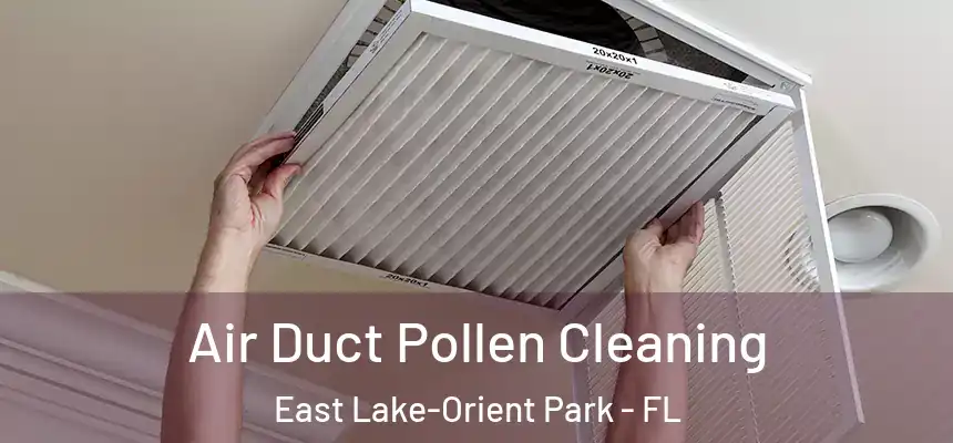 Air Duct Pollen Cleaning East Lake-Orient Park - FL