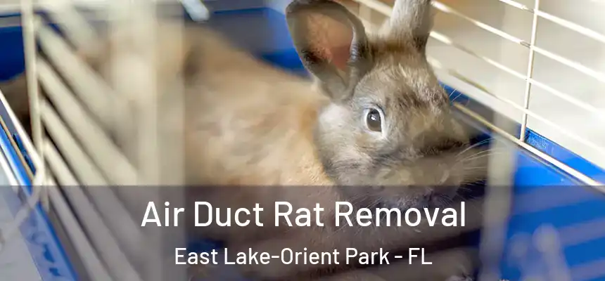Air Duct Rat Removal East Lake-Orient Park - FL