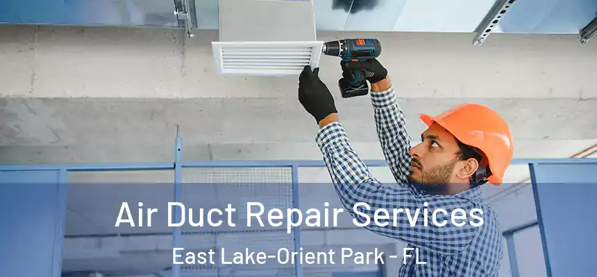 Air Duct Repair Services East Lake-Orient Park - FL