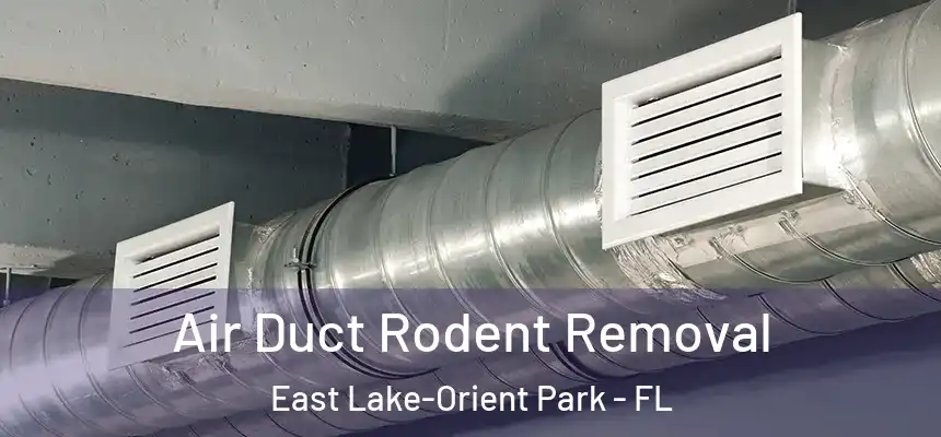 Air Duct Rodent Removal East Lake-Orient Park - FL