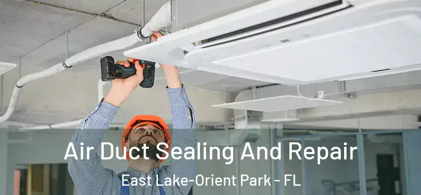Air Duct Sealing And Repair East Lake-Orient Park - FL