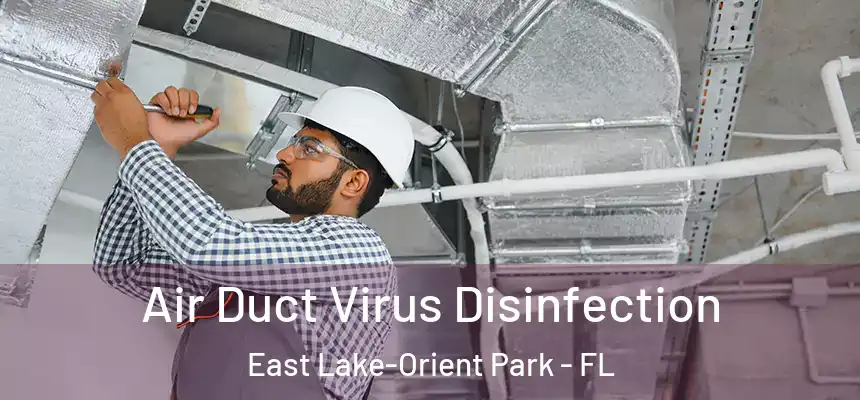 Air Duct Virus Disinfection East Lake-Orient Park - FL