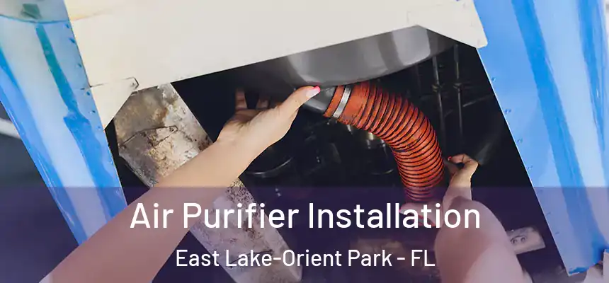 Air Purifier Installation East Lake-Orient Park - FL