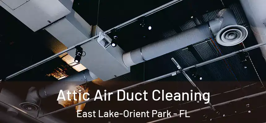  Attic Air Duct Cleaning East Lake-Orient Park - FL