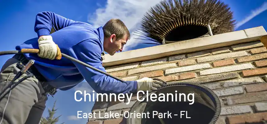 Chimney Cleaning East Lake-Orient Park - FL