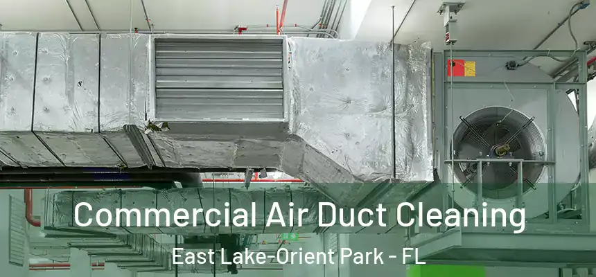 Commercial Air Duct Cleaning East Lake-Orient Park - FL