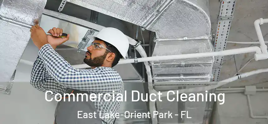 Commercial Duct Cleaning East Lake-Orient Park - FL