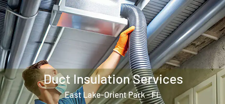 Duct Insulation Services East Lake-Orient Park - FL