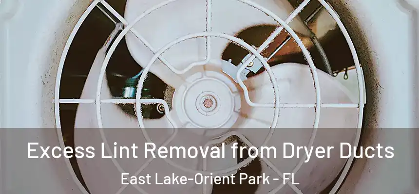 Excess Lint Removal from Dryer Ducts East Lake-Orient Park - FL