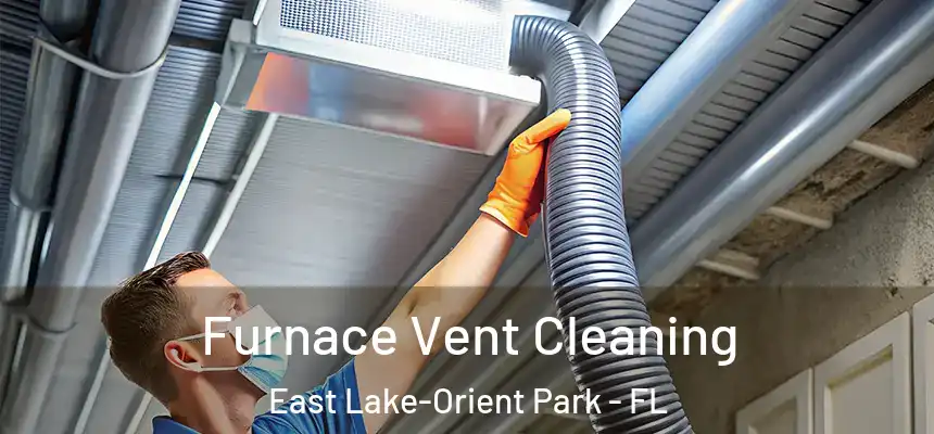  Furnace Vent Cleaning East Lake-Orient Park - FL