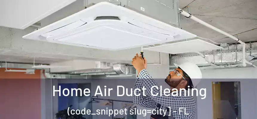  Home Air Duct Cleaning (code_snippet slug=city] - FL
