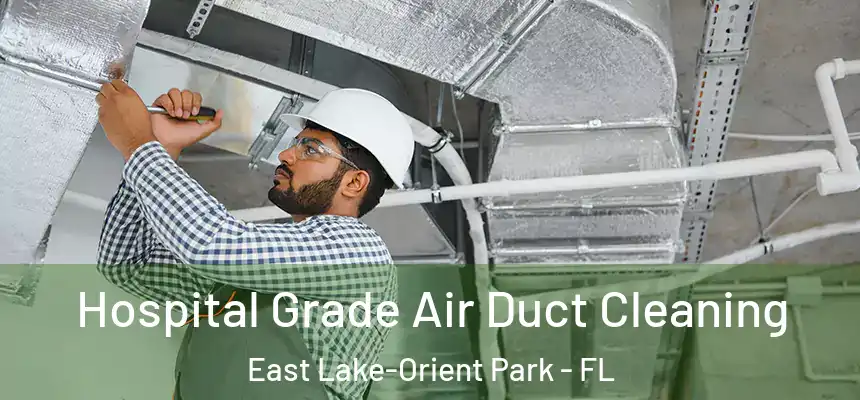 Hospital Grade Air Duct Cleaning East Lake-Orient Park - FL