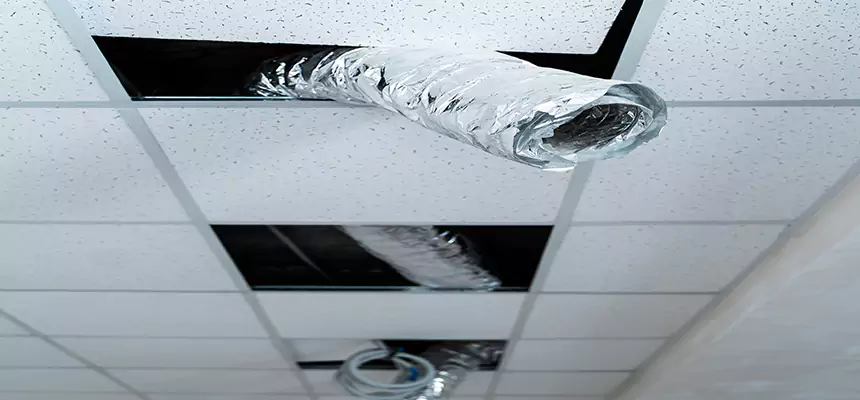 Our Air Duct Pet Hair Removal Services in East Lake-Orient Park, FL