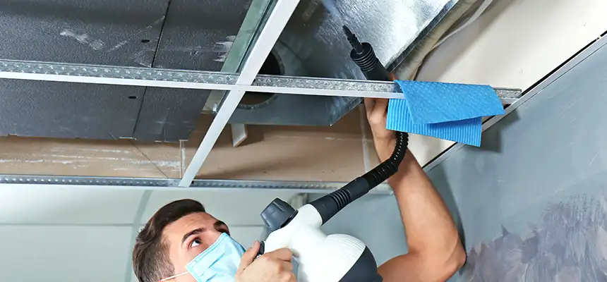 Our Air Duct Rodent Removal Services in East Lake-Orient Park, FL