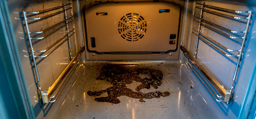 Our Dryer Vent Mold Cleaning Services in East Lake-Orient Park, FL