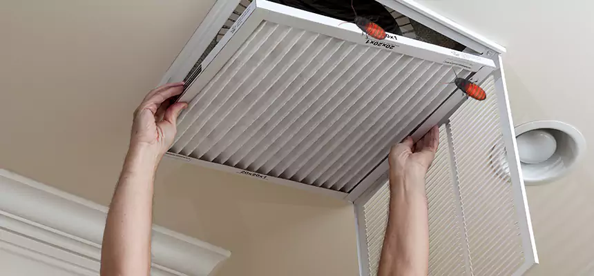 Our Insect Removal from Air Ducts Services in East Lake-Orient Park, FL