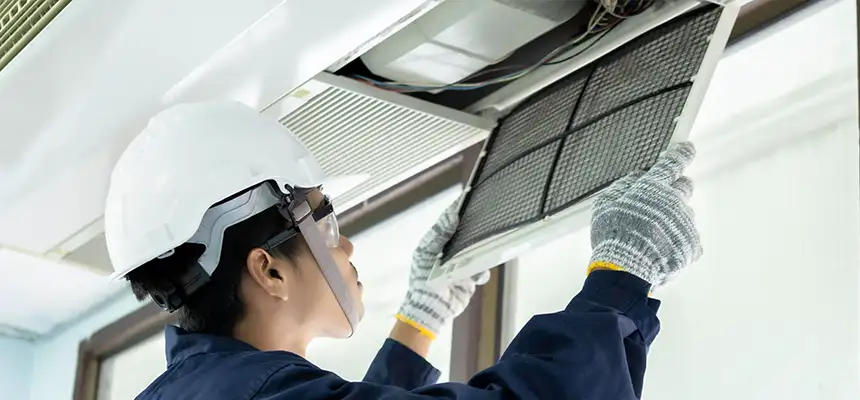 Our Lint Trap Cleaning Service Services in East Lake-Orient Park, FL