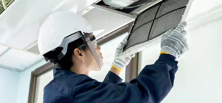 Our Mold & Mildew Removal from Air Ducts Services in East Lake-Orient Park, FL