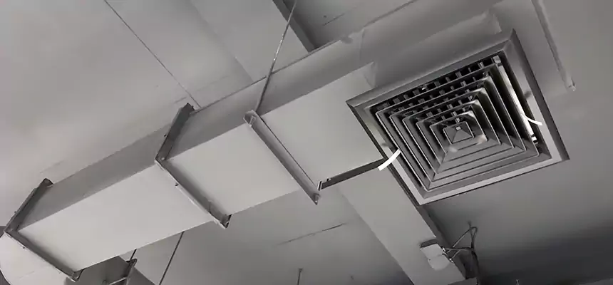 Our Pest Removal From Ducts Services in East Lake-Orient Park, FL