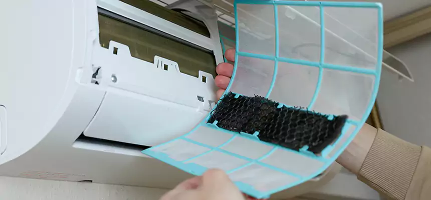 Gentle Ductwork Odor-Control Pet Dander Duct Cleaning in East Lake-Orient Park, FL