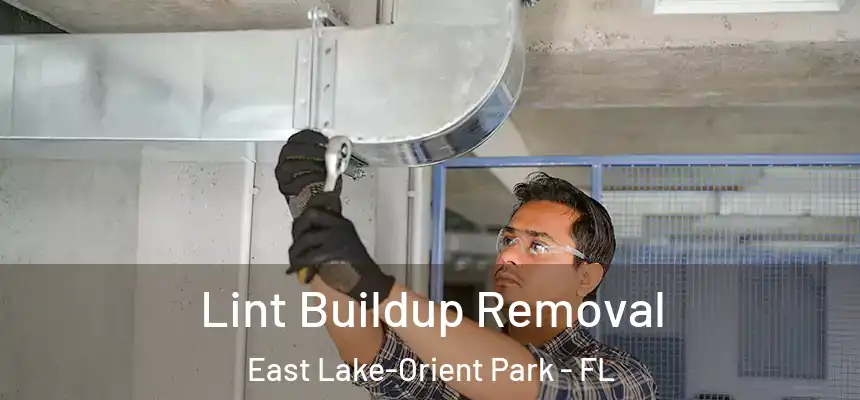  Lint Buildup Removal East Lake-Orient Park - FL
