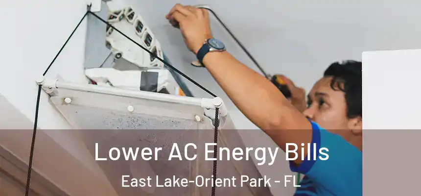 Lower AC Energy Bills East Lake-Orient Park - FL