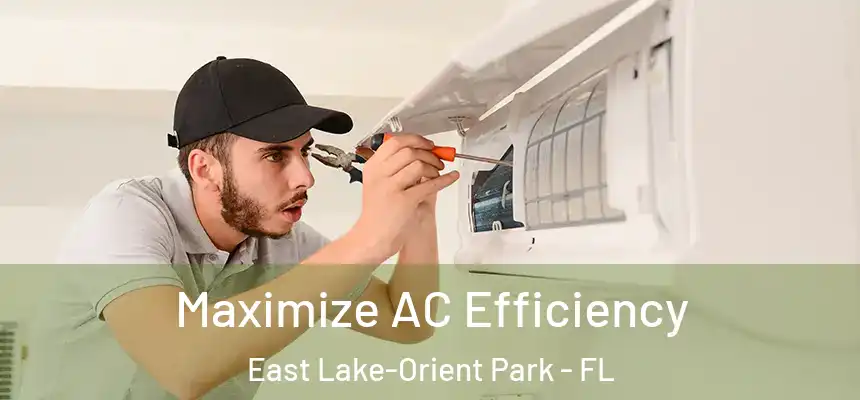 Maximize AC Efficiency East Lake-Orient Park - FL