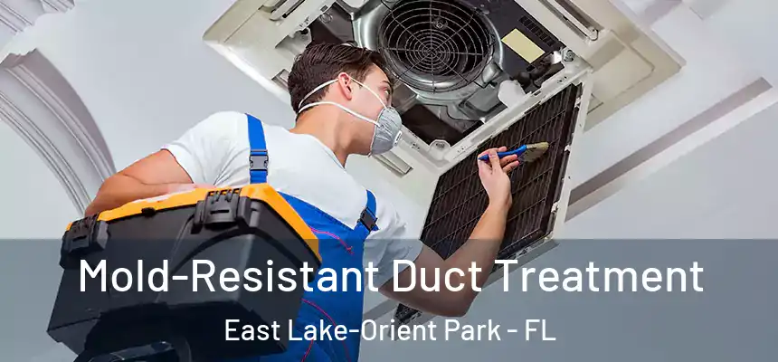 Mold-Resistant Duct Treatment East Lake-Orient Park - FL