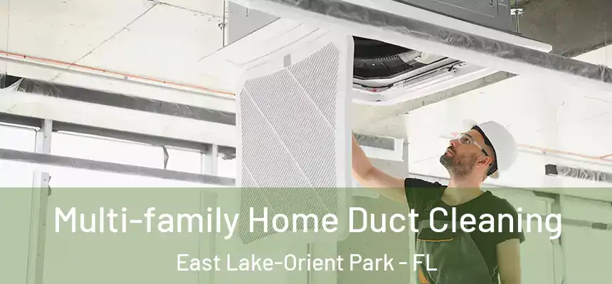  Multi-family Home Duct Cleaning East Lake-Orient Park - FL