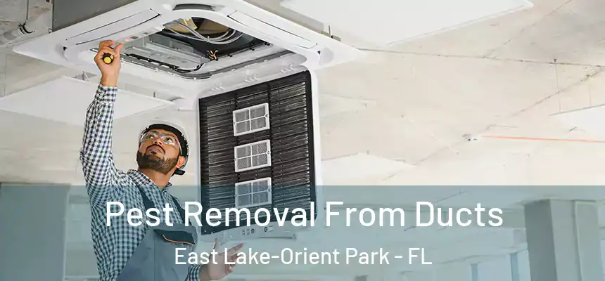 Pest Removal From Ducts East Lake-Orient Park - FL