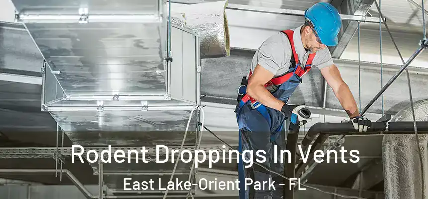 Rodent Droppings In Vents East Lake-Orient Park - FL