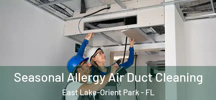 Seasonal Allergy Air Duct Cleaning East Lake-Orient Park - FL