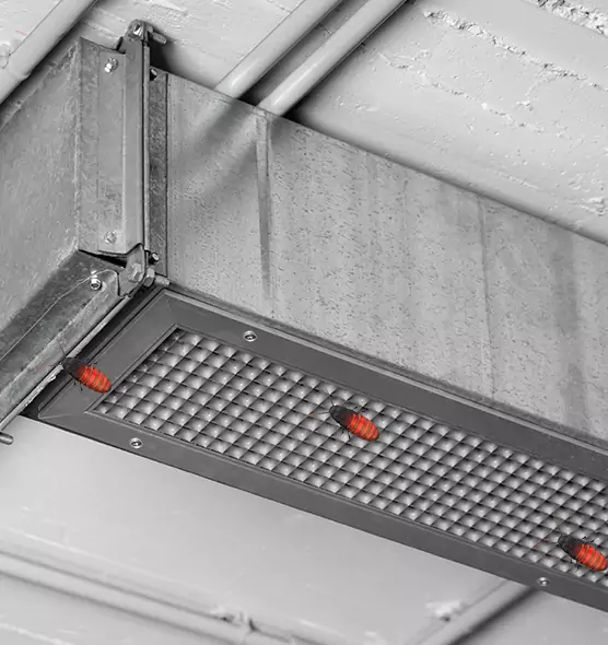 About Air Duct Cockroach Removal in East Lake-Orient Park, FL
