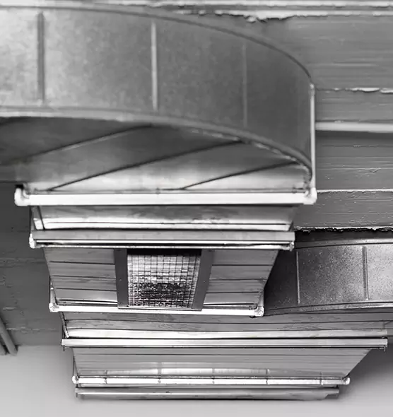 Professional Air Duct Pest Removal in East Lake-Orient Park, FL