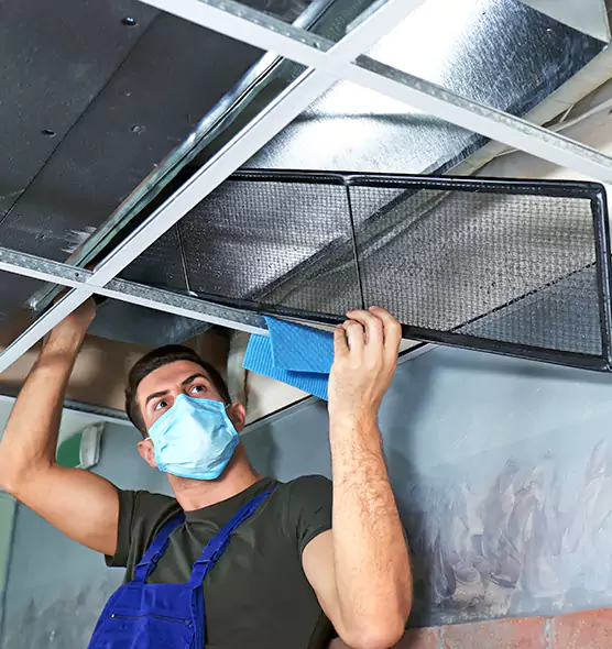 Professional Air Duct Pollen Cleaning in East Lake-Orient Park, FL