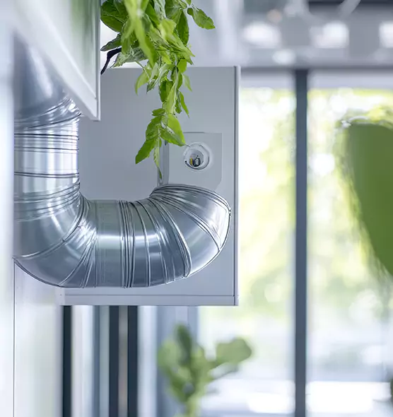 Professional Eco-Friendly Duct Cleaning Services in East Lake-Orient Park, FL