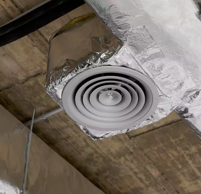 Why Homeowners & Businesses Trust Us in East Lake-Orient Park, FL?