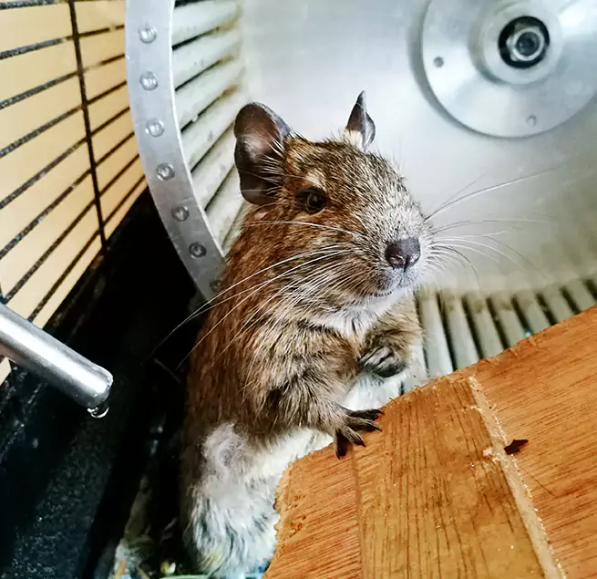 Why Homeowners & Businesses Trust Us East Lake-Orient Park, FL