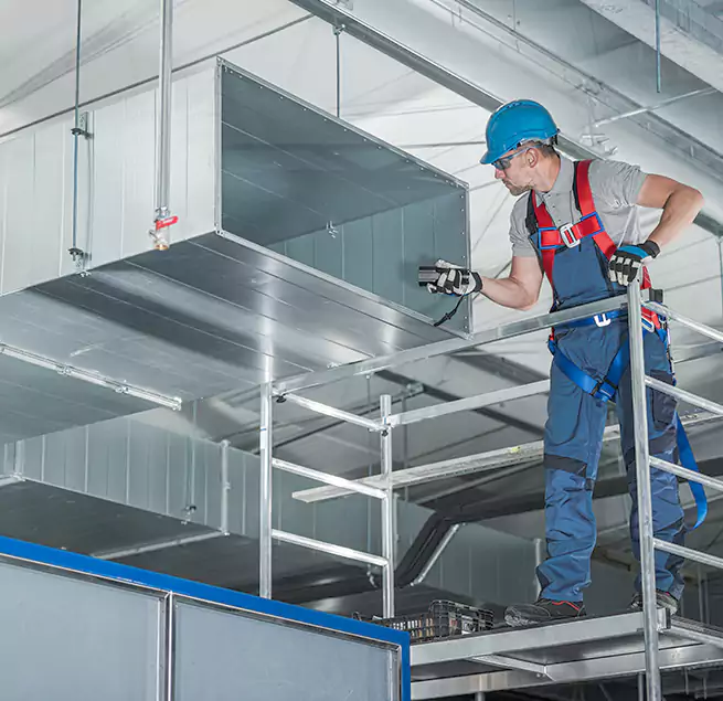 Why Homeowners & Businesses Trust Us in East Lake-Orient Park, FL?